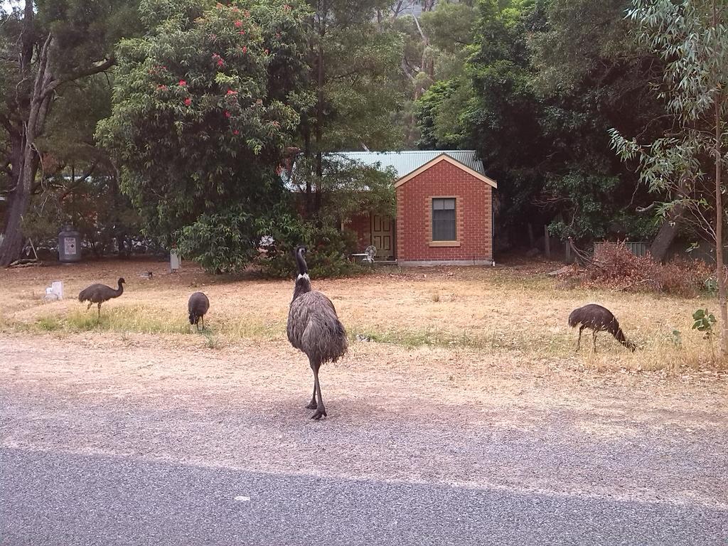 Heatherlie Cottages Halls Gap Bagian luar foto